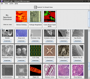 Captura de ecrã virtual lab